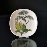 Arabia World Wildlife Fund Plakette mit Limonium Arborescens