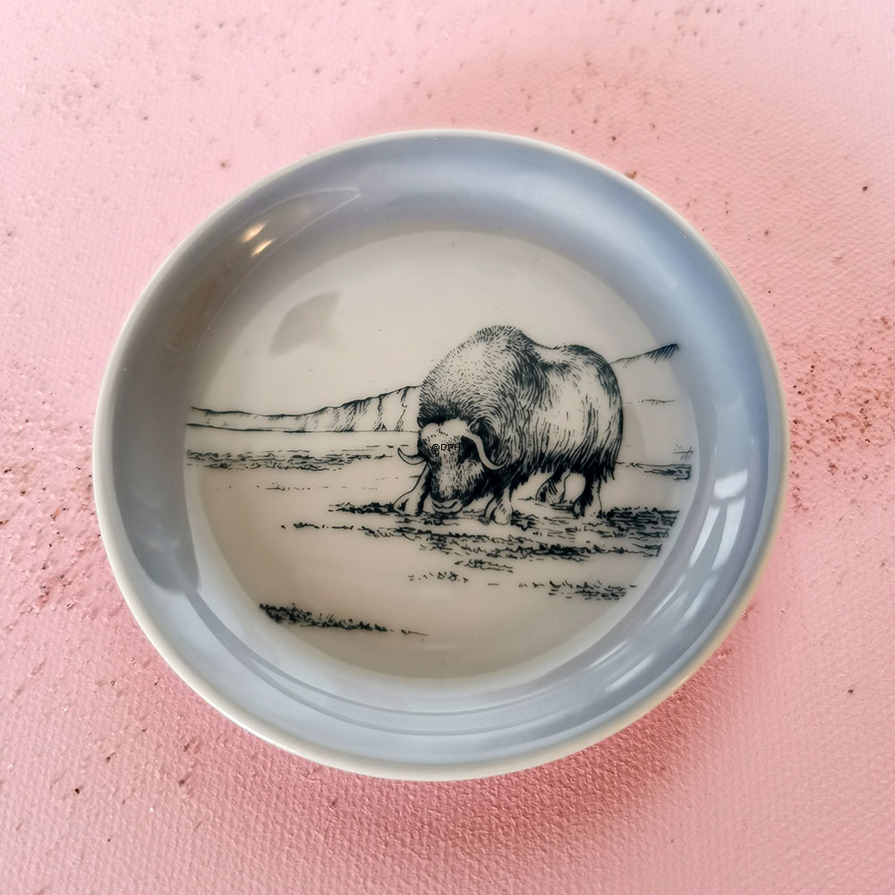 Schale mit Motiv aus Grönland, Kalaallit Nunaat (Moschus), Bing & Gröndahl Nr. 11304