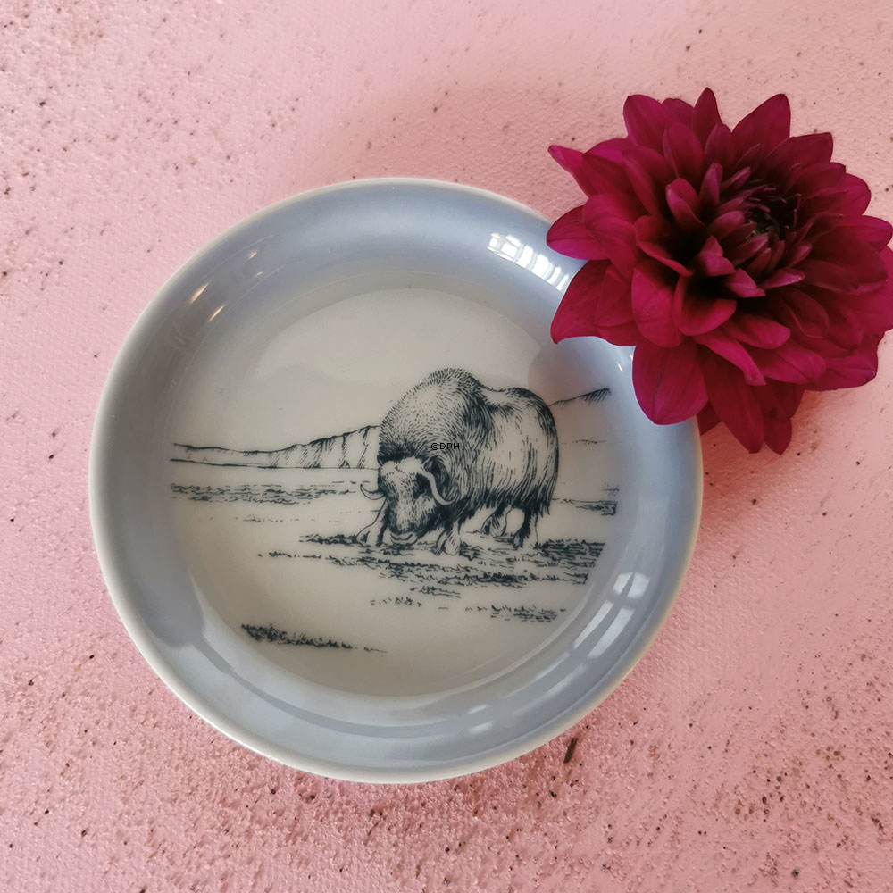 Schale mit Motiv aus Grönland, Kalaallit Nunaat (Moschus), Bing & Gröndahl Nr. 11304