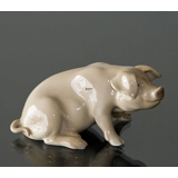 Sitzendes Schwein, Bing & Gröndahl Figur Nr. 1020405 / 1582