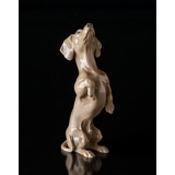 Dackel, Bing & Gröndahl Figur nr. 1603