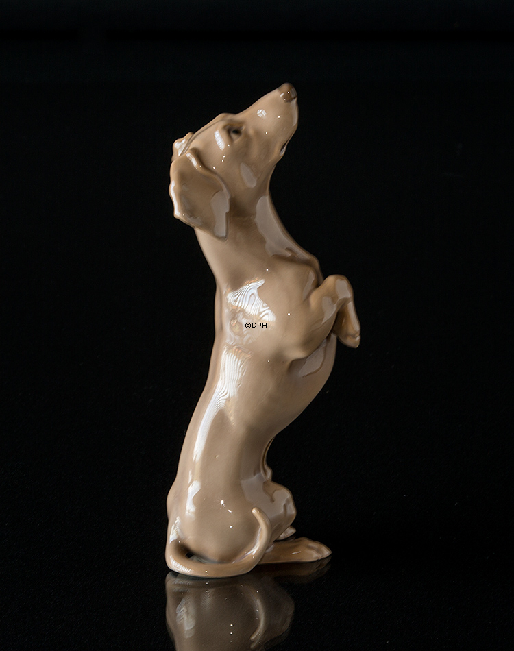 Dackel, Bing & Gröndahl Figur nr. 1603