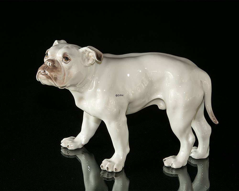 Große Weiße Bulldogge, Bing & Gröndahl Hundefigur Nr. 1605