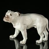 Große Weiße Bulldogge, Bing & Gröndahl Hundefigur 
