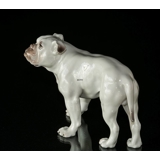 Große Weiße Bulldogge, Bing & Gröndahl Hundefigur Nr. 1605