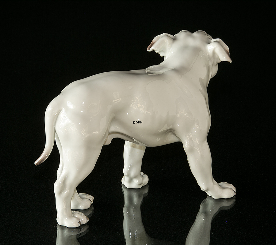 Große Weiße Bulldogge, Bing & Gröndahl Hundefigur Nr. 1605