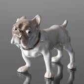 Kleine Bulldogge, Bing & Gröndahl Hund Figur