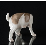 Ziege Leckt, Bing & Gröndahl Figur Nr. 1700