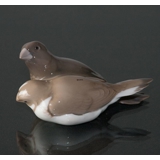 Gruppe von Finken, Bing & Gröndahl Biird Figur Nr. 1708