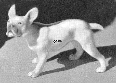 Französische Bulldogge, Bing & Gröndahl Hund Figur Nr. 1893