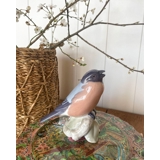 Gimpel kreischen, Bing & Gröndahl Vogelfigur Nr. 438 / 1909