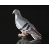 Taube auf der Suche nach Semmelbrösel, Bing & Gröndahl Porzellan Vogelfigur Nr. 1911