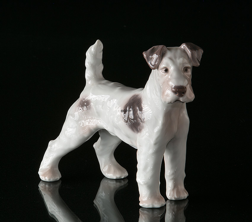 Foxterrier, Bing & Gröndahl Hund Figur Nr. 1998