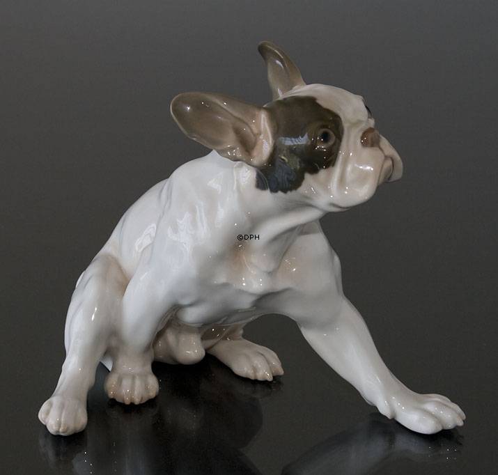 Französische Bulldogge, Bing & Gröndahl Hund Figur Nr. 2000