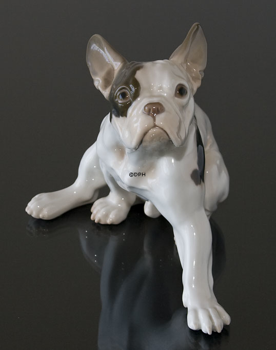 Französische Bulldogge, Bing & Gröndahl Hund Figur Nr. 2000