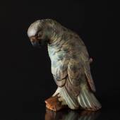 Papagei schaut zur Seite, Bing & Gröndahl Steingut Vogelfigur