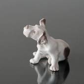 Sealyham Terrier schaut unten, Bing & Gröndahl Hund Figur Nr. 2028