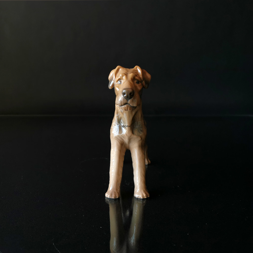 Terrier, Bing & Gröndahl Hundefigur Nr. 2030