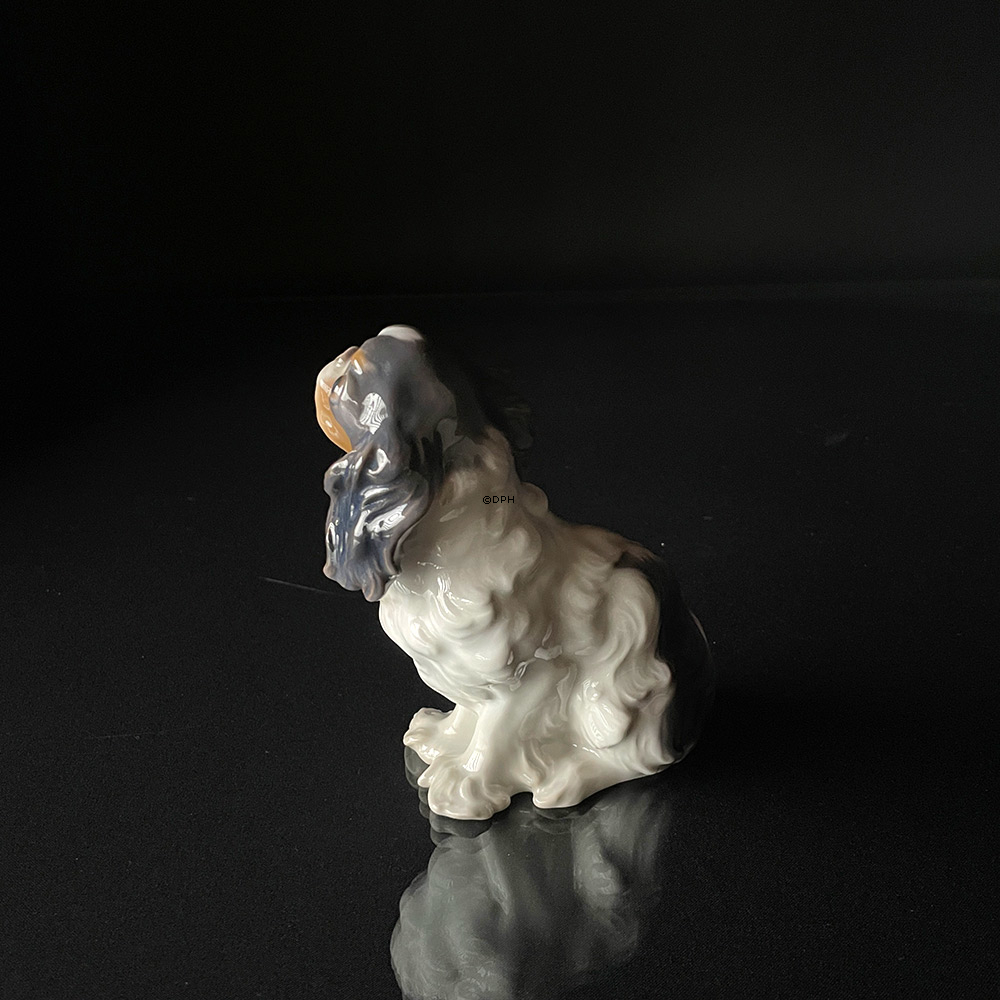 Cavalier King Charles Spaniel, Bing & Gröndahl Hund Figur Nr. 2035