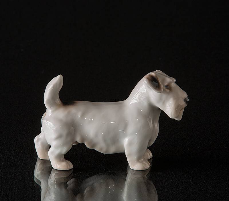 Sealyham Terrier, Bing & Gröndahl Hundefigur Nr. 2071