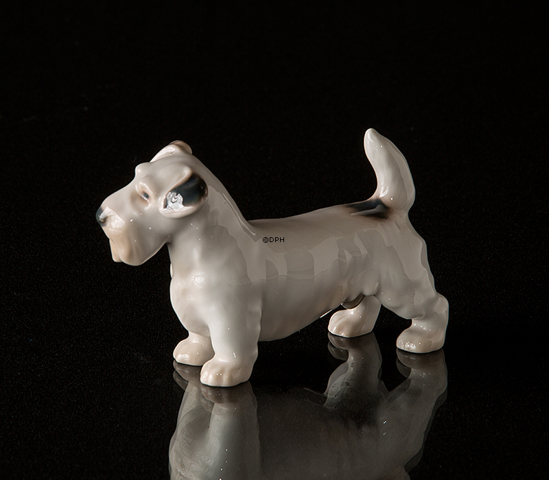 Sealyham Terrier, Bing & Gröndahl Hundefigur Nr. 2071