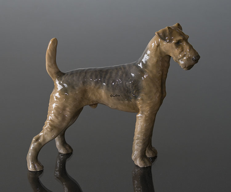 Airedale Terrier, Bing & Gröndahl Hundefigur Nr. 2099