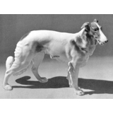 Barsoi, stehend, Bing & Gröndahl Hundefigur Nr. 2115