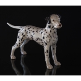 Dalmatiner, 19cm, Bing & Gröndahl Hund Figur Nr. 2122