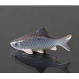 Rotauge, Bing & Gröndahl Fischfigur Nr. 2145