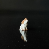 Hund, der nach oben schaut, Spaniel, Bing & Grondahl 2547