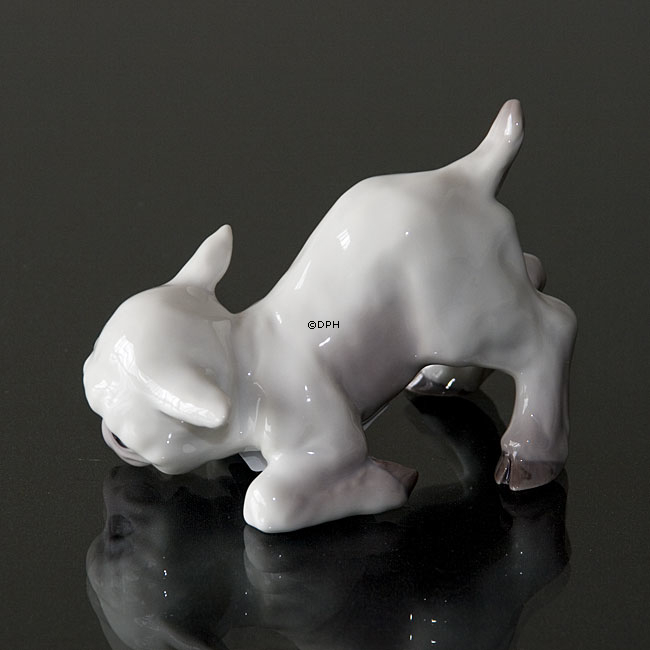 Lamm, Bing & Gröndahl Figur Nr. 560 order 2560