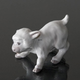 Lamm, Bing & Gröndahl Figur Nr. 562 oder 2562