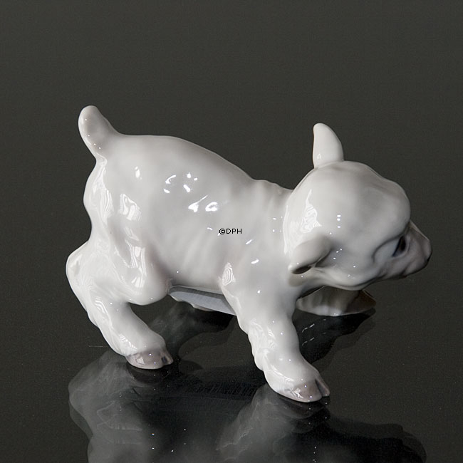 Lamm, Bing & Gröndahl Figur Nr. 562 oder 2562