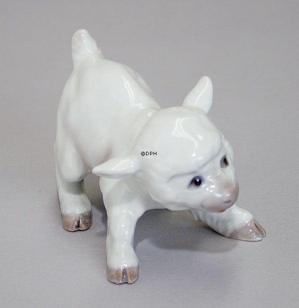 Lamm, Bing & Gröndahl Figur Nr. 562 oder 2562