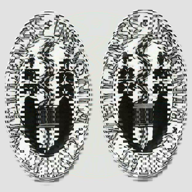 Stadtwappenteller, WELLENSIS INSIGNIA CIVITAT, Bing & Gröndahl