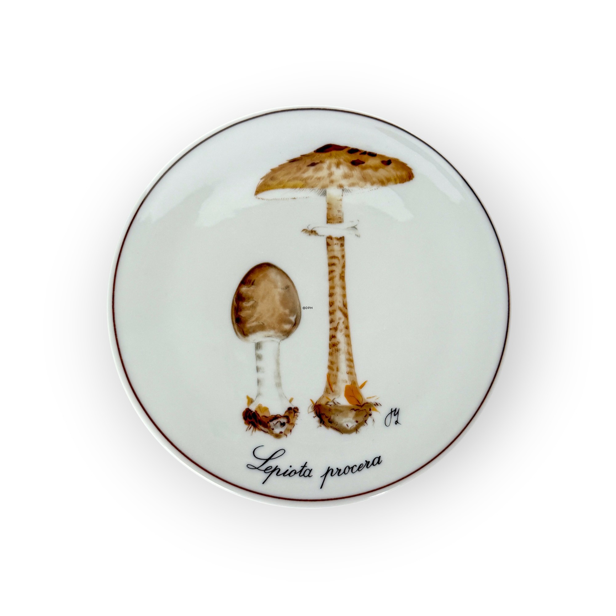 Platte/Untersetzer aus der Pilz-Serie, Pilzplatte, Parasolpilz, Bing & Gröndahl