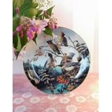 Bradex Teller aus der Serie "Vollwertige Sänger", Seidenschwanz