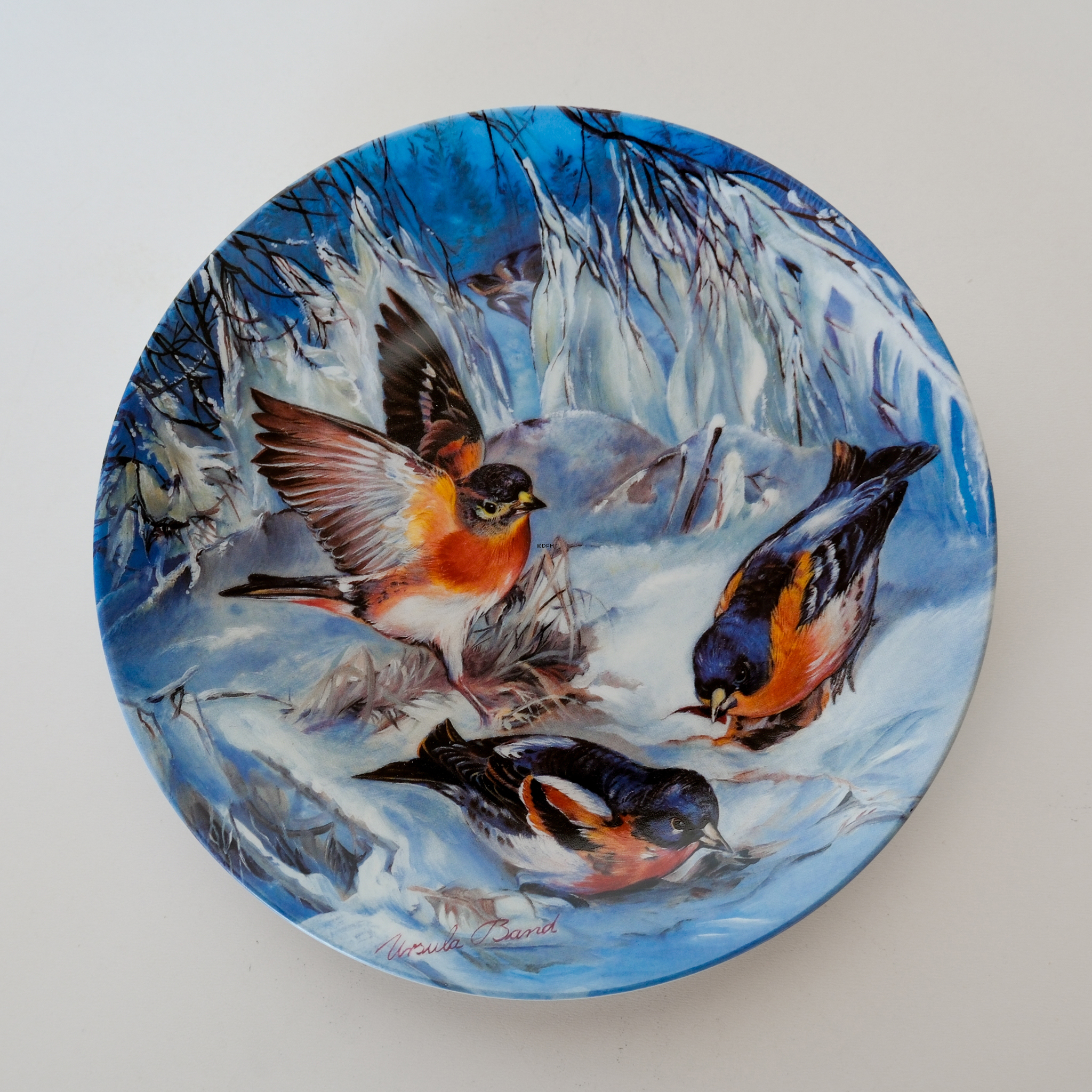 Hutschenreuter, Teller in der Serie Wintervögel