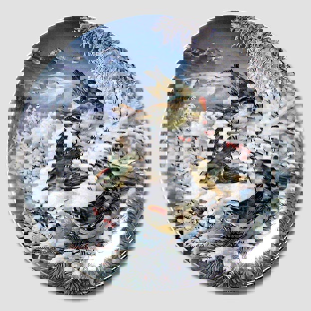 Hutschenreuter, Teller in Serie Wintervögel