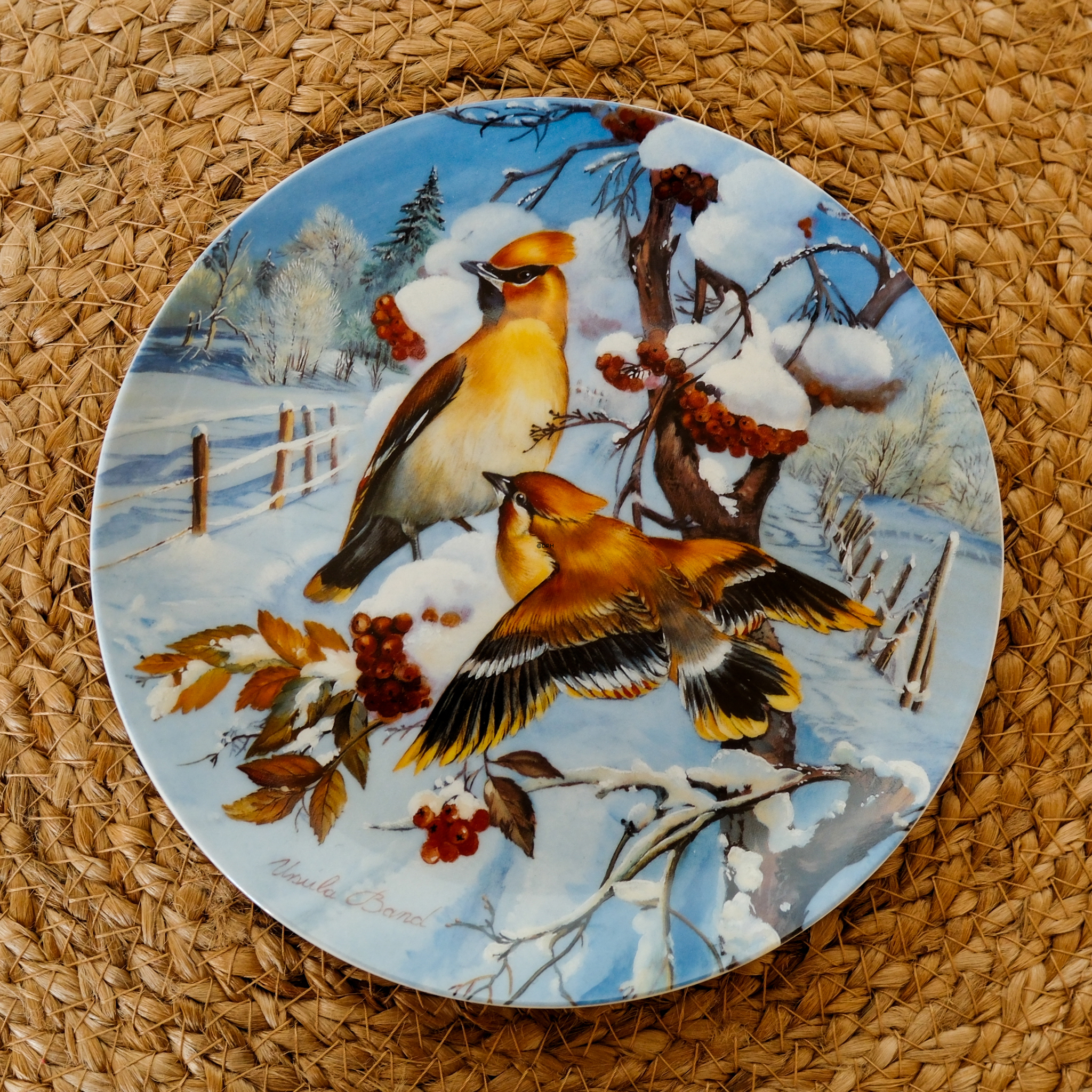 Hutschenreuter, Teller in der Serie Wintervögel