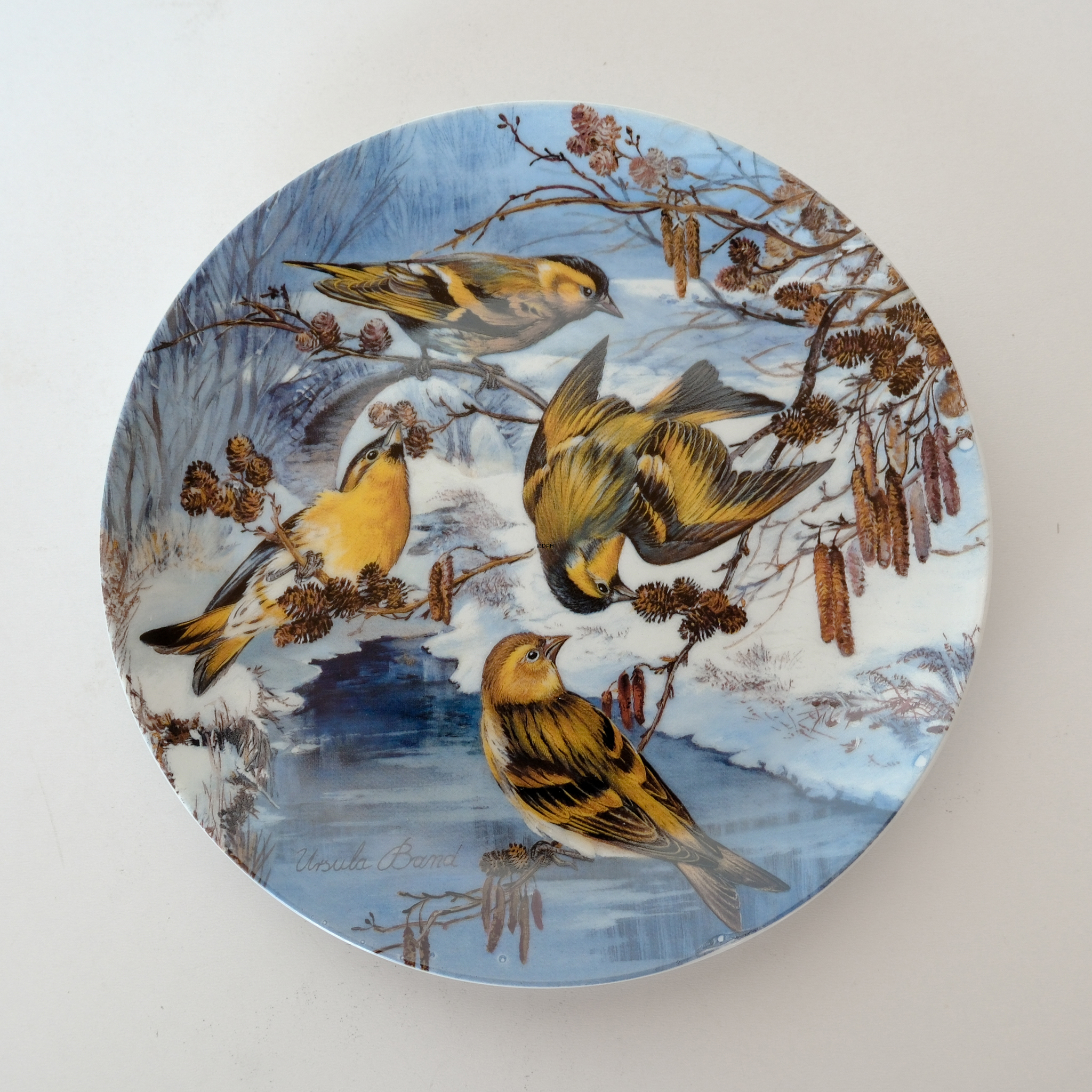 Hutschenreuter, Teller in der Serie Wintervögel