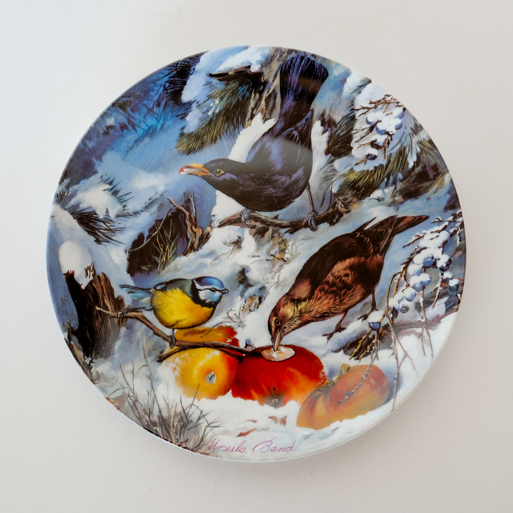 Hutschenreuter, Teller in der Serie Wintervögel