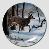 Dominion Teller in der Serie "Wild und frei"