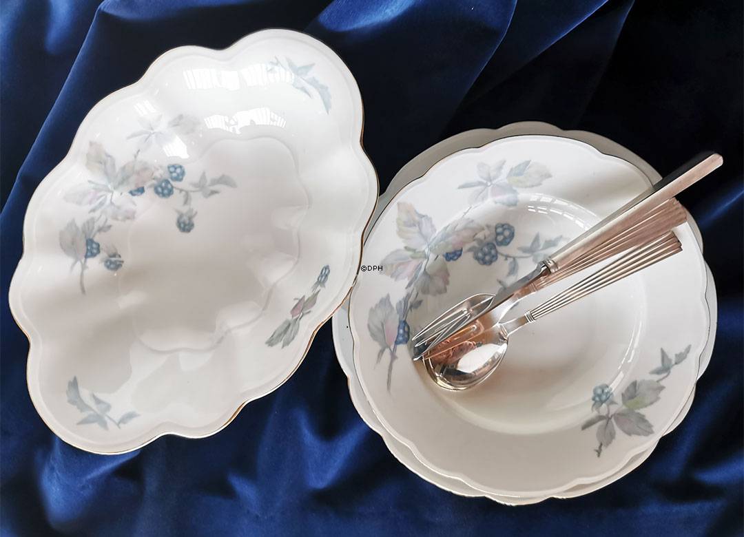 Altrohlau Porzellangeschirr mit Brombeeren