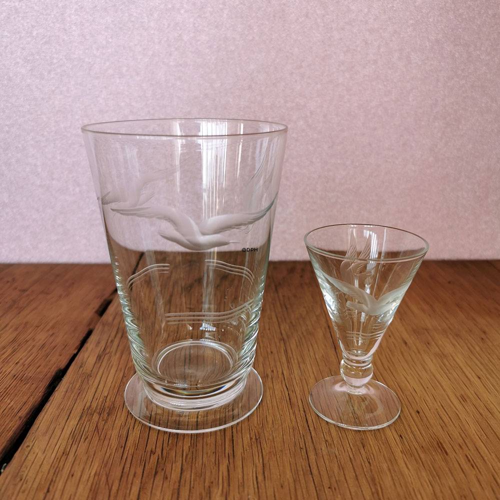 Möwe Wasserglas ohne Goldkante