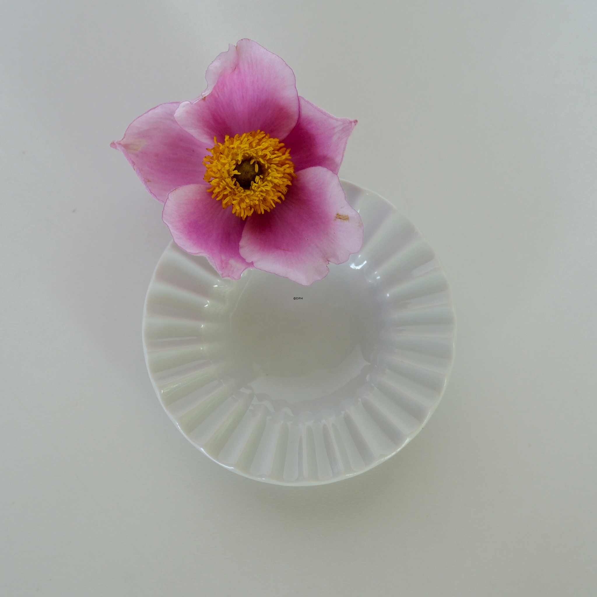 Lyngby Porzellan kleine weiße Schale mit gewelltem Rand