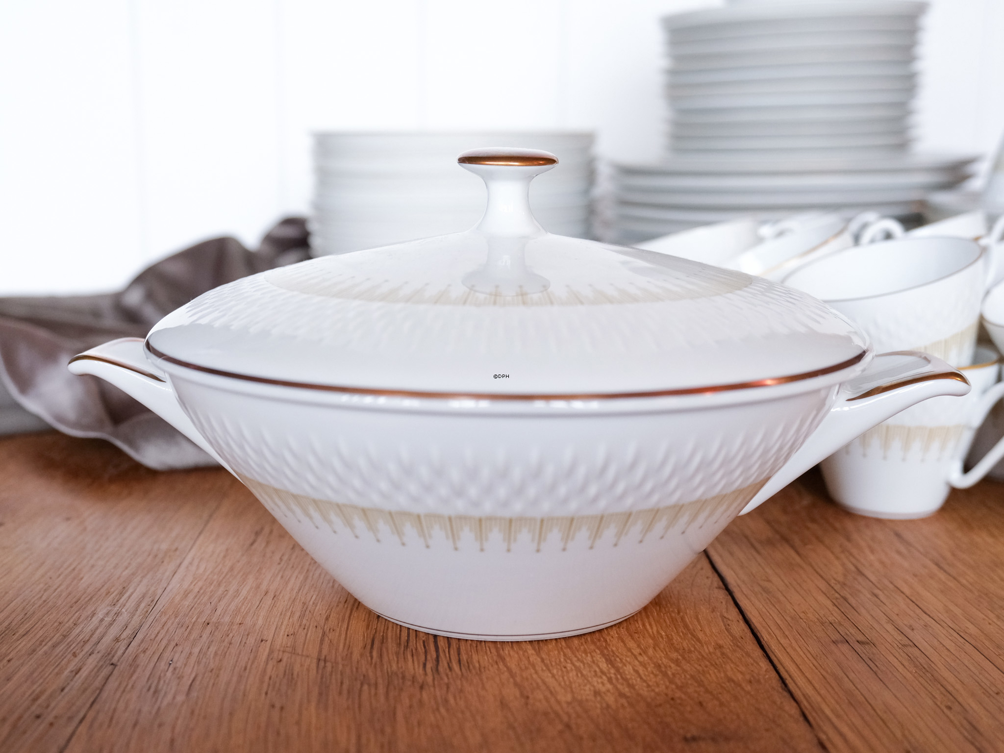 Bavaria Marcelisborg Geschirr (Set von 55 teile)