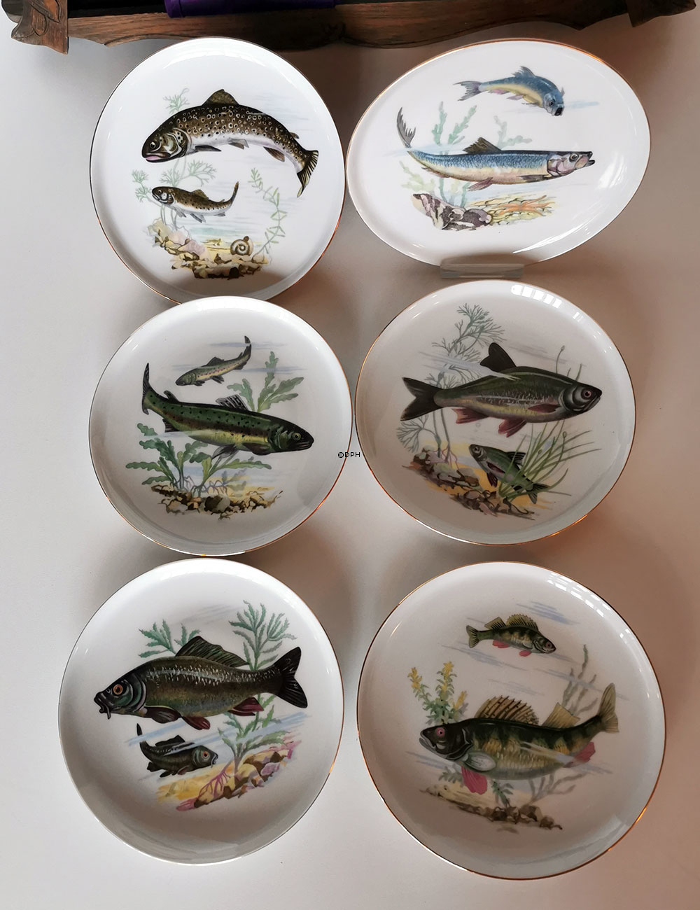 eller mit Fisch, Set von 6 Stück