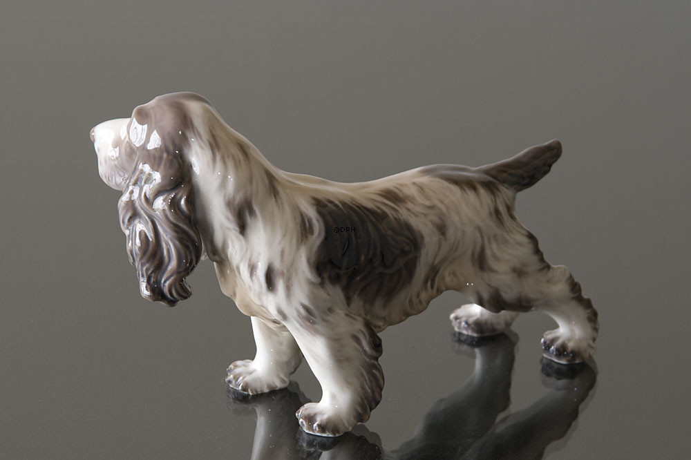 Hund Cocker Spaniel Dahl Jensen