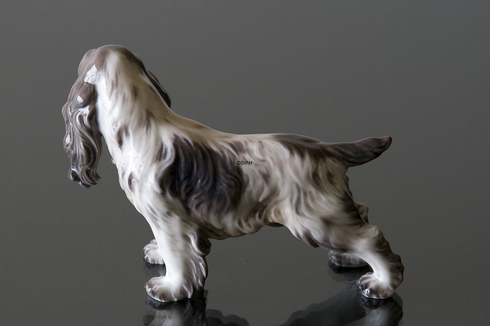 Hund Cocker Spaniel Dahl Jensen